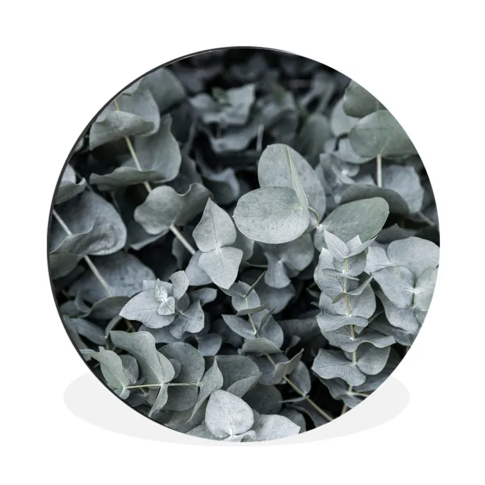 Natuur - Planten - Eucalyptus - Bladeren Wandcirkel aluminium klein -3d