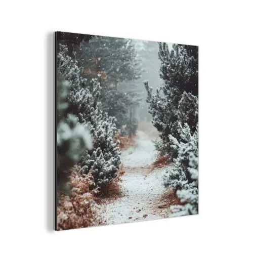 Bos - Winter - Bomen - Natuur - Pad - Sneeuw aluminium wit klein -3d