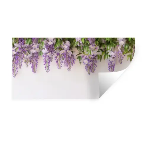 Blauwe regen - Bloemen - Paars Muursticker klein -3d
