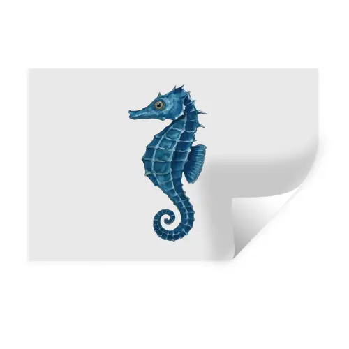 Zeepaardje - Staart - Blauw Muursticker klein -3d