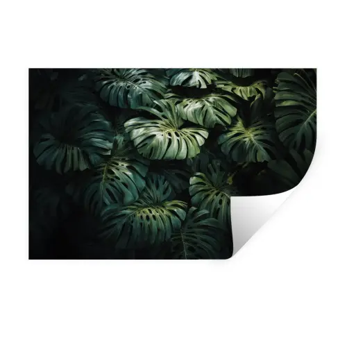 Plant - Monstera - Lichtinval Muursticker klein -3d