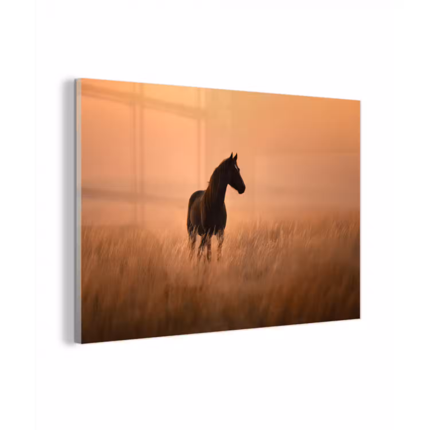 Glasbild - Pferd - Wiese - Sonnenuntergang