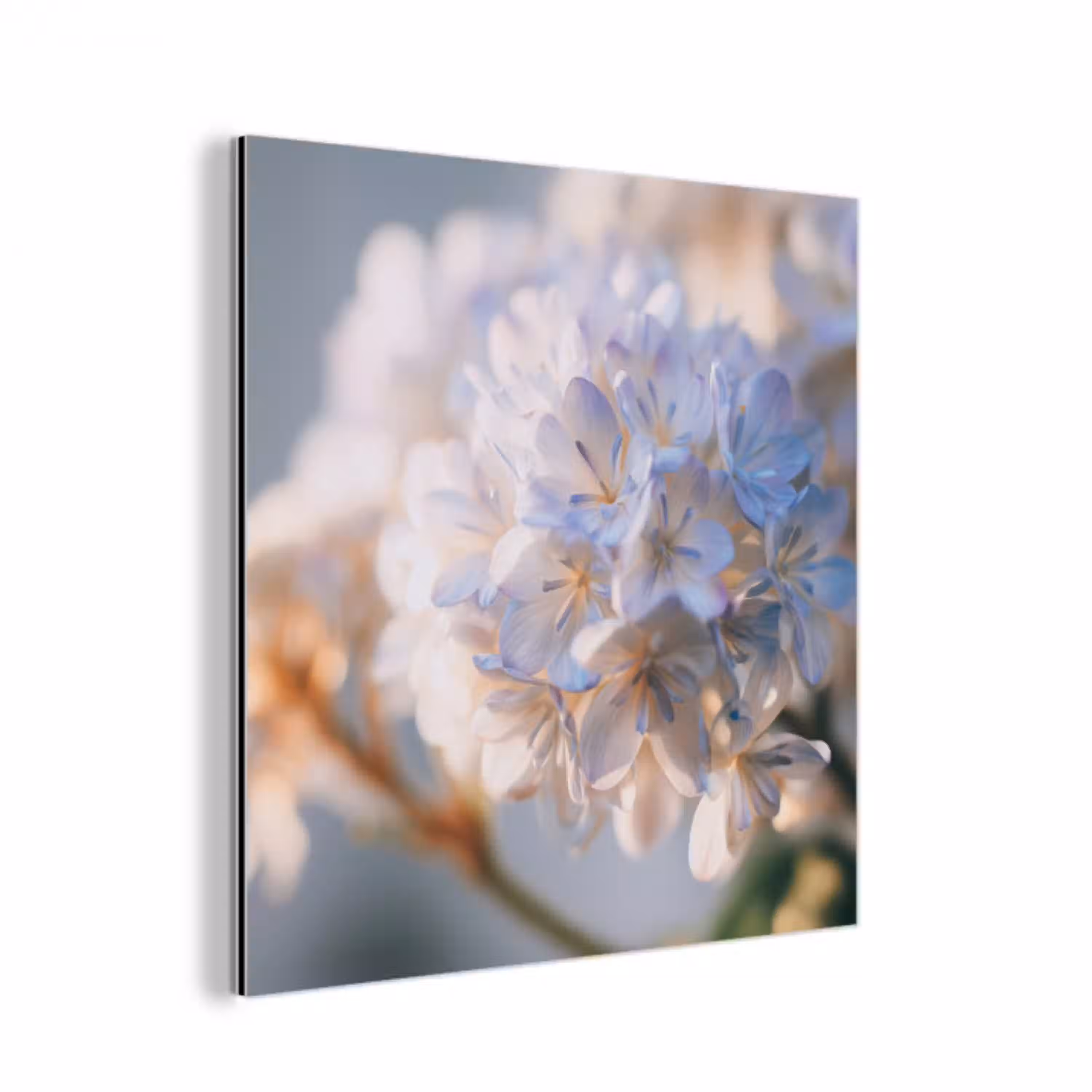 Bloemen - Lichtblauw - Wazig - Trosje aluminium wit klein -3d