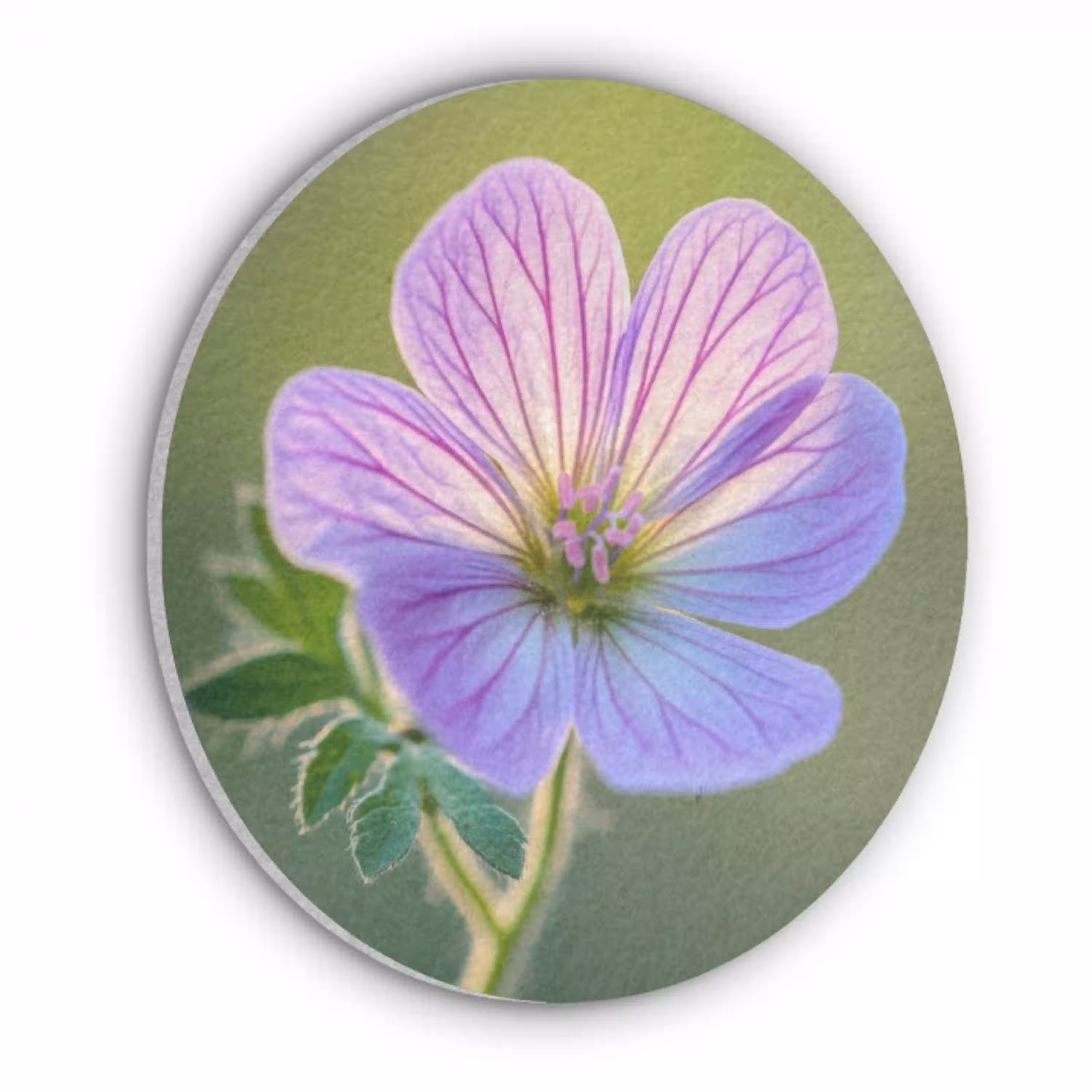 Bloem - Close up - Paars Akoestische PET Vilt - Rond klein -3d