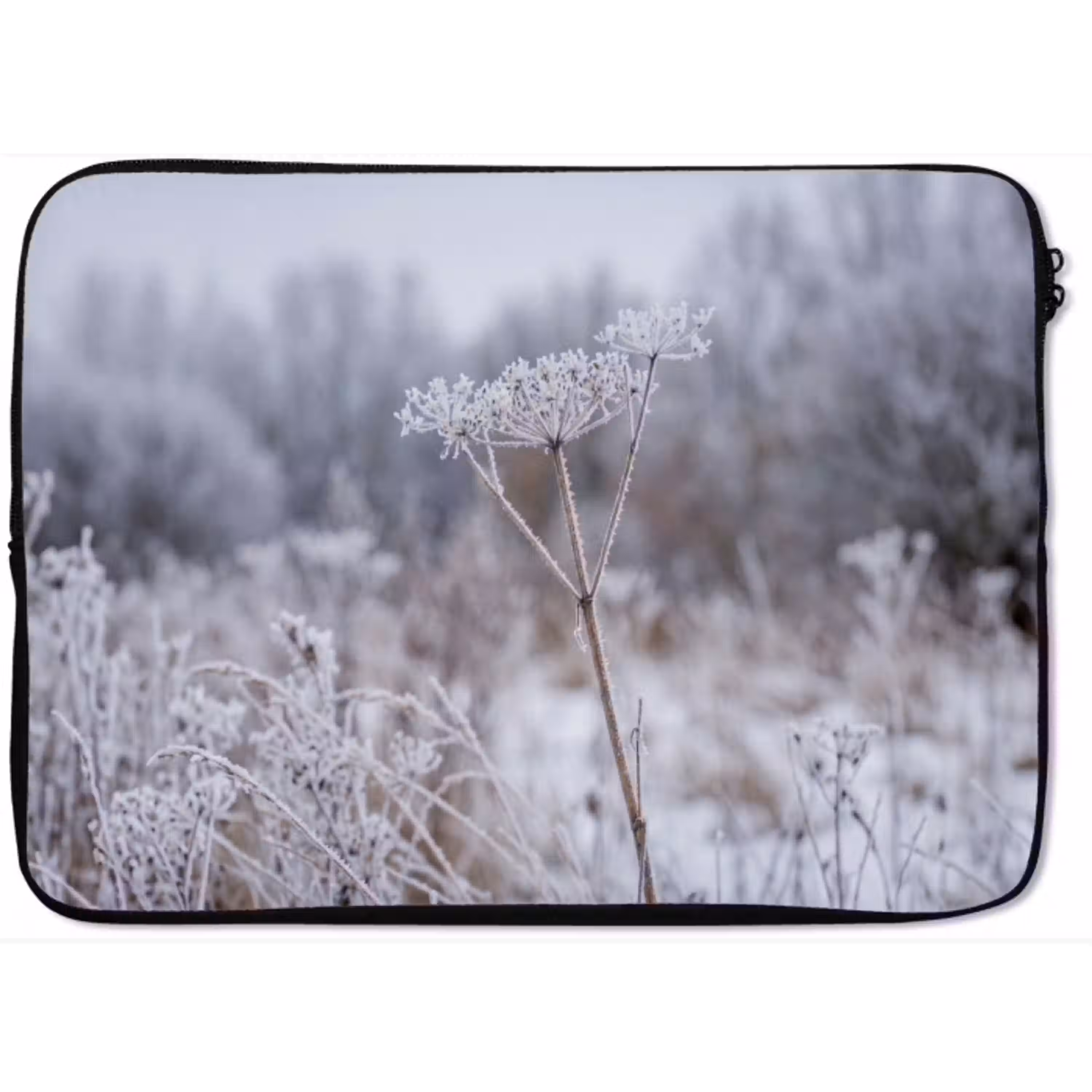 Schermbloem - Rijp - Kristallen - Winter - Delicaat laptophoes neopreen klein -zkaufland3dotto