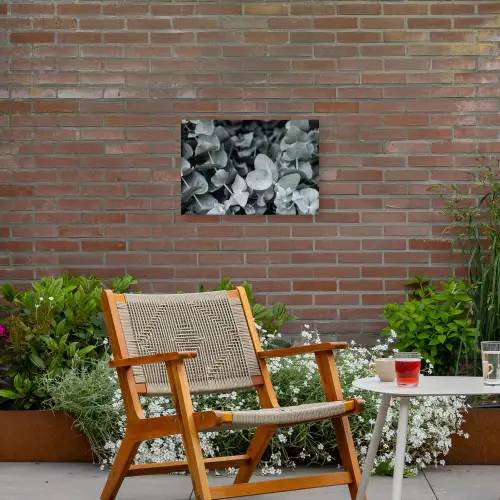 Natuur - Planten - Eucalyptus - Bladeren Tuinposter op houten frame 2 cm dik klein -sfeer3