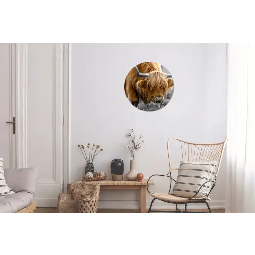 Schotse Hooglander - Dieren - Bruin - Koe - Zwart - Wit - Natuur Wandcirkel aluminium klein -woonkamer
