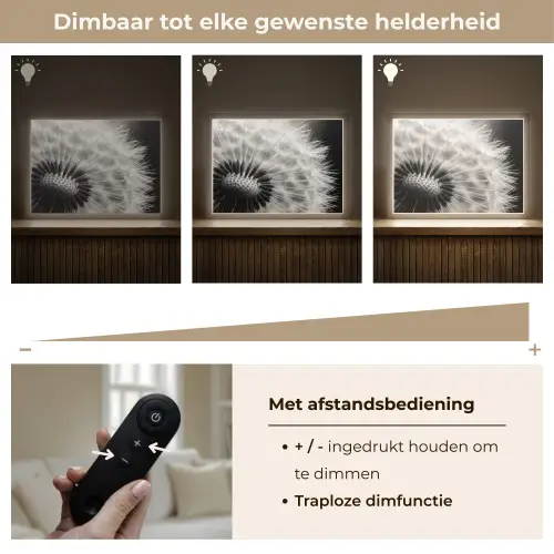 Paardenbloem - Zwart - Wit Light Box met batterij (Wandlamp) middel -USP_dimbaarNL