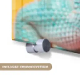 Kameleon - Kauwgom - Kleurrijk plexiglas 5mm klein -zzsysteem_NL