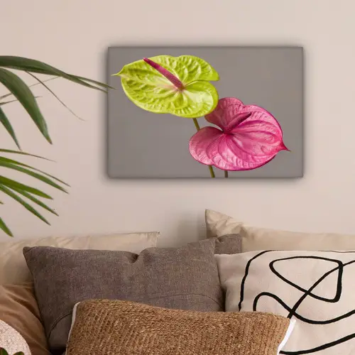 Planten - Anthurium - Groen - Roze canvas 2cm klein -sfeer1