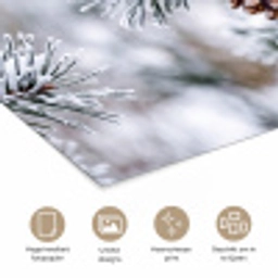 Dennenappel - Tak - Sneeuw - Winter - Sfeervol poster papier klein -closeup_NL