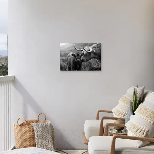 Schotse hooglander - Kalf - Zwart - Wit Tuinposter op houten frame 2 cm dik klein -sfeer1