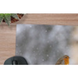Roodborstje - Gedroogde bloem - Sneeuw - Winter - Vertederend muismat rubber klein -closeup