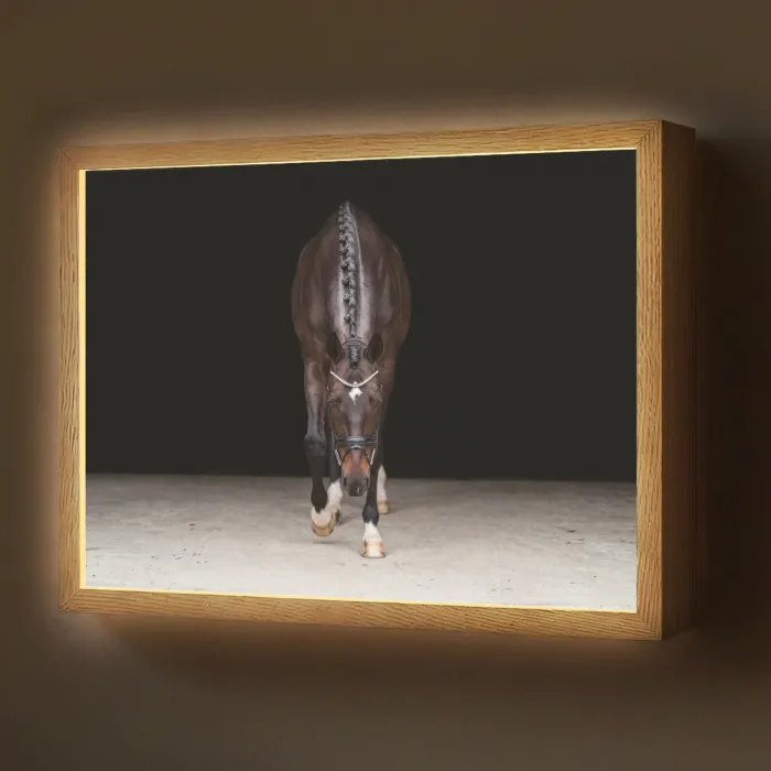 Paard - Modern - Portret Light Box met batterij (Wandlamp) middel -z3d_website