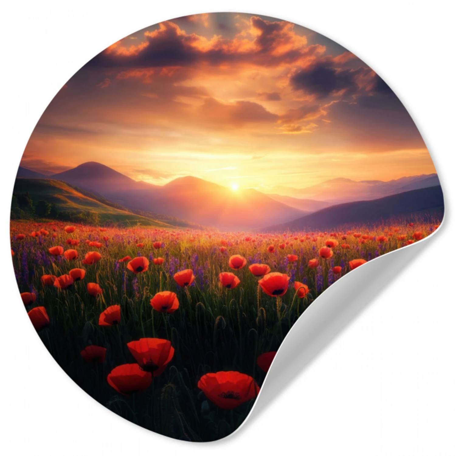 Landschap - Zonsondergang - Bloemenveld Wandcirkel behangsticker klein -3d