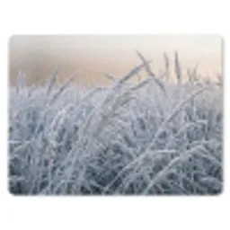 Rijp - Gras - Kristallen - Winter - Minimalistisch muismat rubber klein -3d