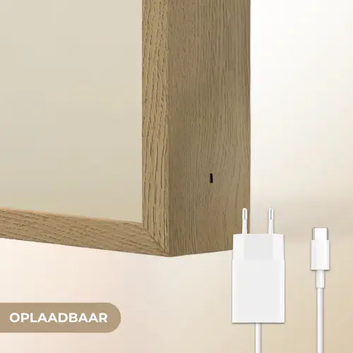 Dennentak - Naaldvormige bladeren - Lichtgroen Light Box met batterij (Wandlamp) middel -USP_websiteoplaadbaarNL