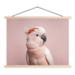Kaketoe - Portret - Roze textielposter latten blank klein -3d