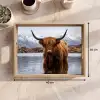 Schotse hooglander - Bruin - Water Dienblad Rechthoek middel -USP_Formaat