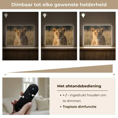 Leeuwin - Gras - Geel Light Box met batterij (Wandlamp) middel -USP_dimbaarNL