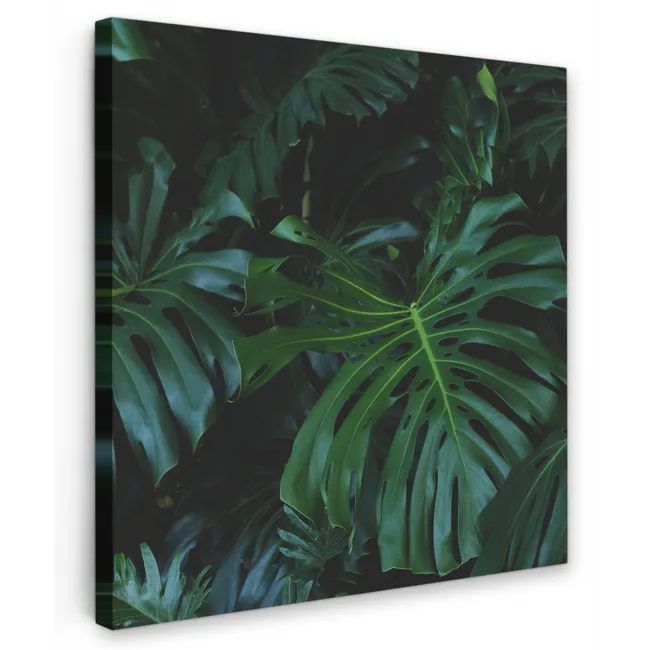 Monstera -  Inductie beschermer - Bladeren - Tropical - Afdekplaat voor kookplaat Tuinposter op houten frame 2 cm dik klein -3d