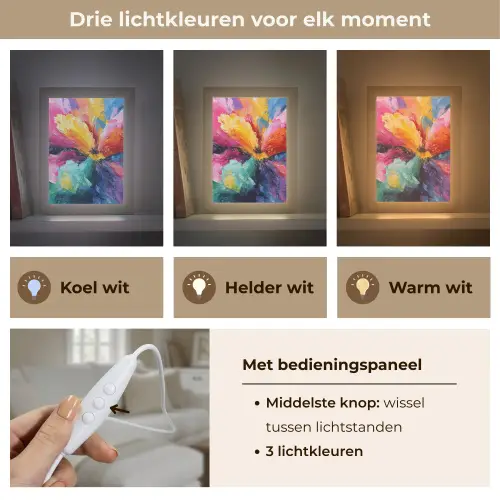 Bloemexplosie - Veelkleurig - Bewegend Light Box met kabel (Tafellamp) klein -USP_lichtkleurNL