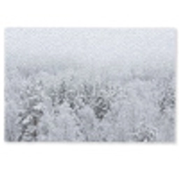 Bos - Sneeuw - Winter - Natuur - Wit Deurmat klein -zkaufland3d