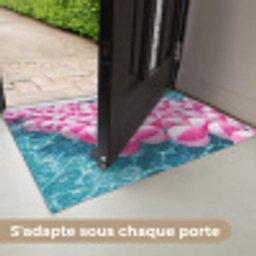 Strandballen - Roze - Water Deurmat klein -USP_FR