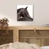 Portret - Paard - Elegant aluminium wit klein -sfeer3