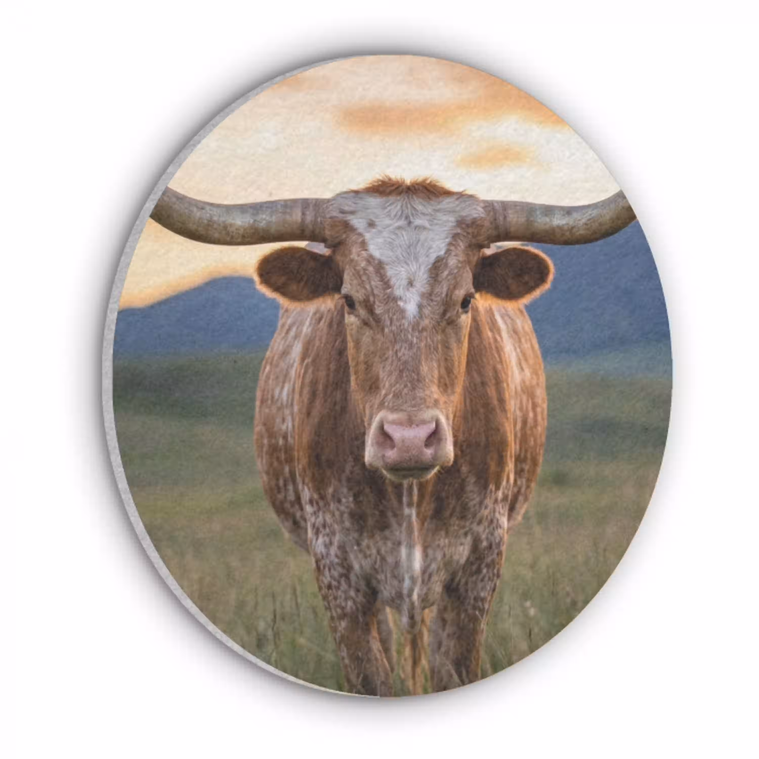 Longhorn - Landschap - Zonsondergang Akoestische PET Vilt - Rond klein -3d