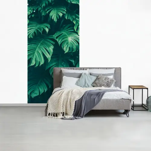 Monstera - Bladeren - Planten - Jungle - Natuur fotobehang vinyl groot -slaapkamer