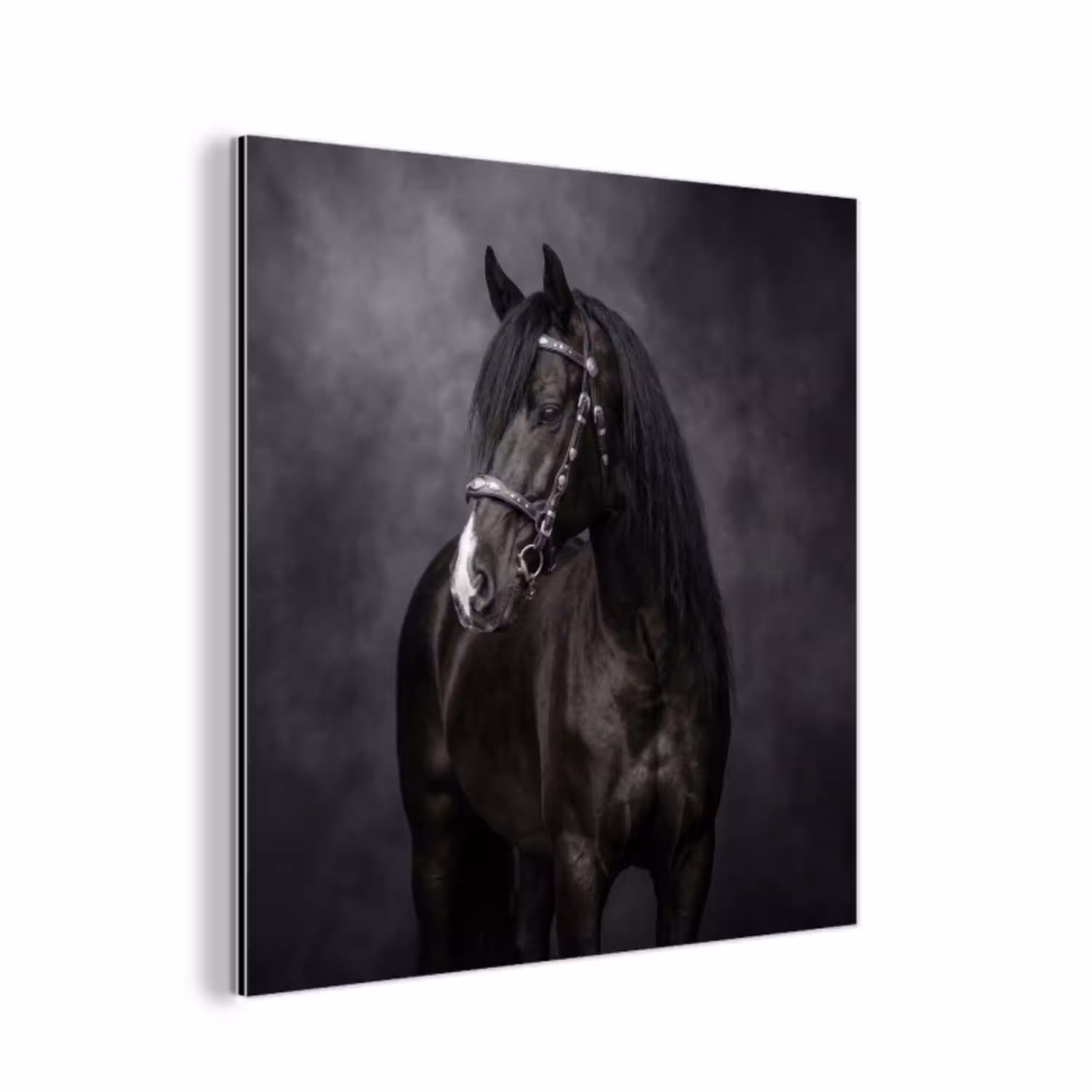 Portret - Paard - Zwart aluminium wit klein -3d