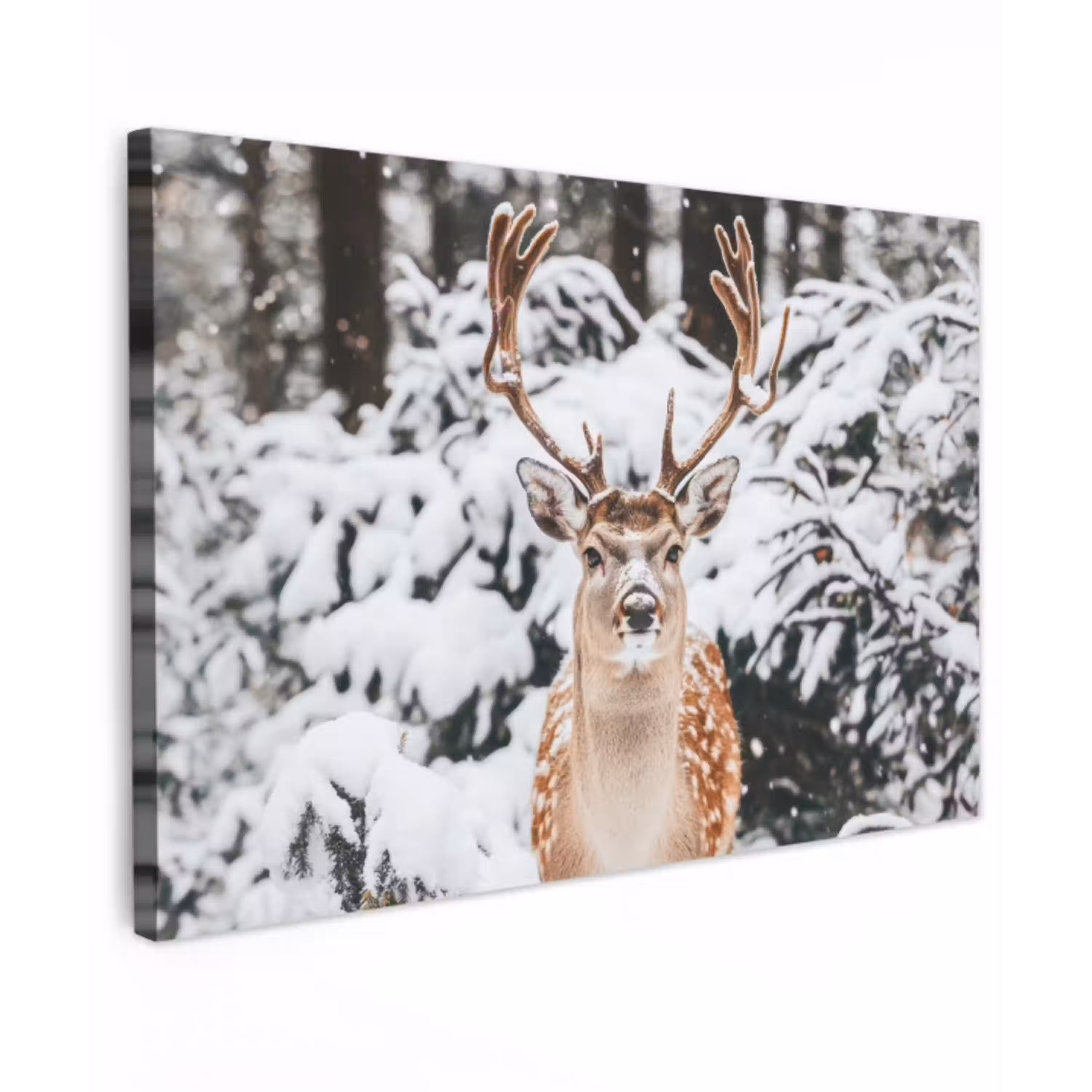 Hert - Sneeuw - Winter - Bos - Dieren Tuinposter op houten frame 2 cm dik klein -3d