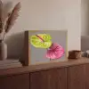 Planten - Anthurium - Groen - Roze Light Box met batterij (Wandlamp) middel -sfeer2