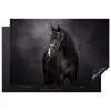 Portret - Paard - Zwart Inductie beschermer vinyl 3mm klein -3d
