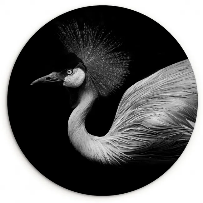 Kraanvogel - Zwart - Wit - Vogel - Dieren Wandcirkel kunststof plaat 5mm dik klein -3d