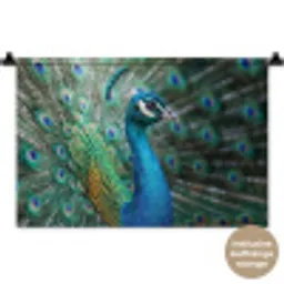 Pauw - Veren - Blauw Wandkleed katoen klein -t3d_DE