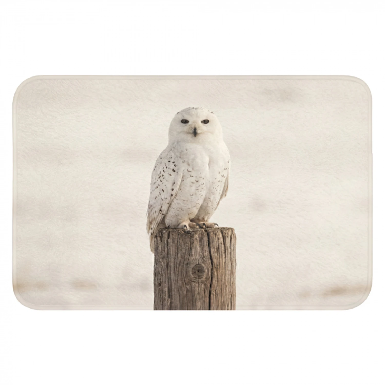 Sneeuwuil - Paal - Winter - Portret - Majestueus Badmat klein -3d
