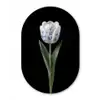 Tulp - Patroon - Blauw Wandcirkel Ovaal Forex klein -3d