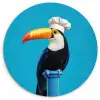 Tucan - Sokkel - Vogel - Koksmuts Wandcirkel kunststof plaat 5mm dik klein -3d