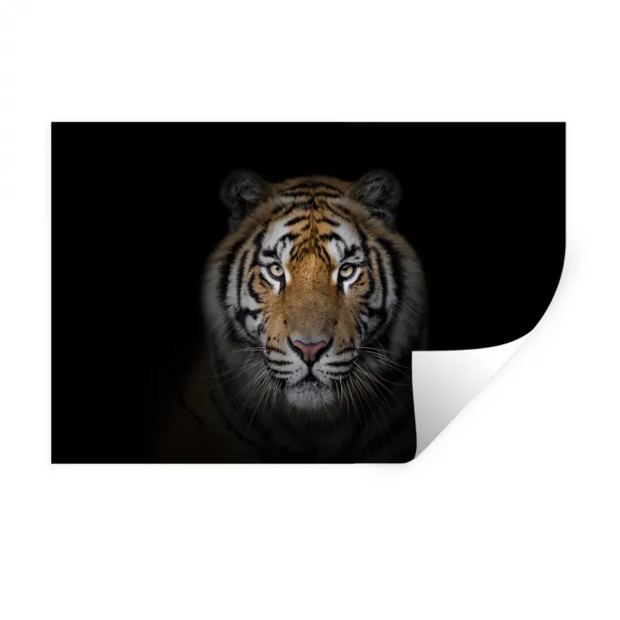 Tijger - Wilde dieren - Portret - Zwart - Dieren Muursticker klein -3d