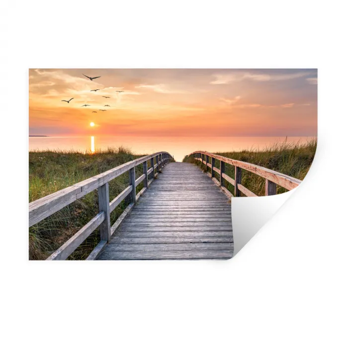 Zonsonderang - Zee - Pad - Gras - Duin - Vogels Muursticker klein -3d