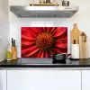 Close up - Bloem- Rood Inductie beschemer met haakjes klein -sfeer2
