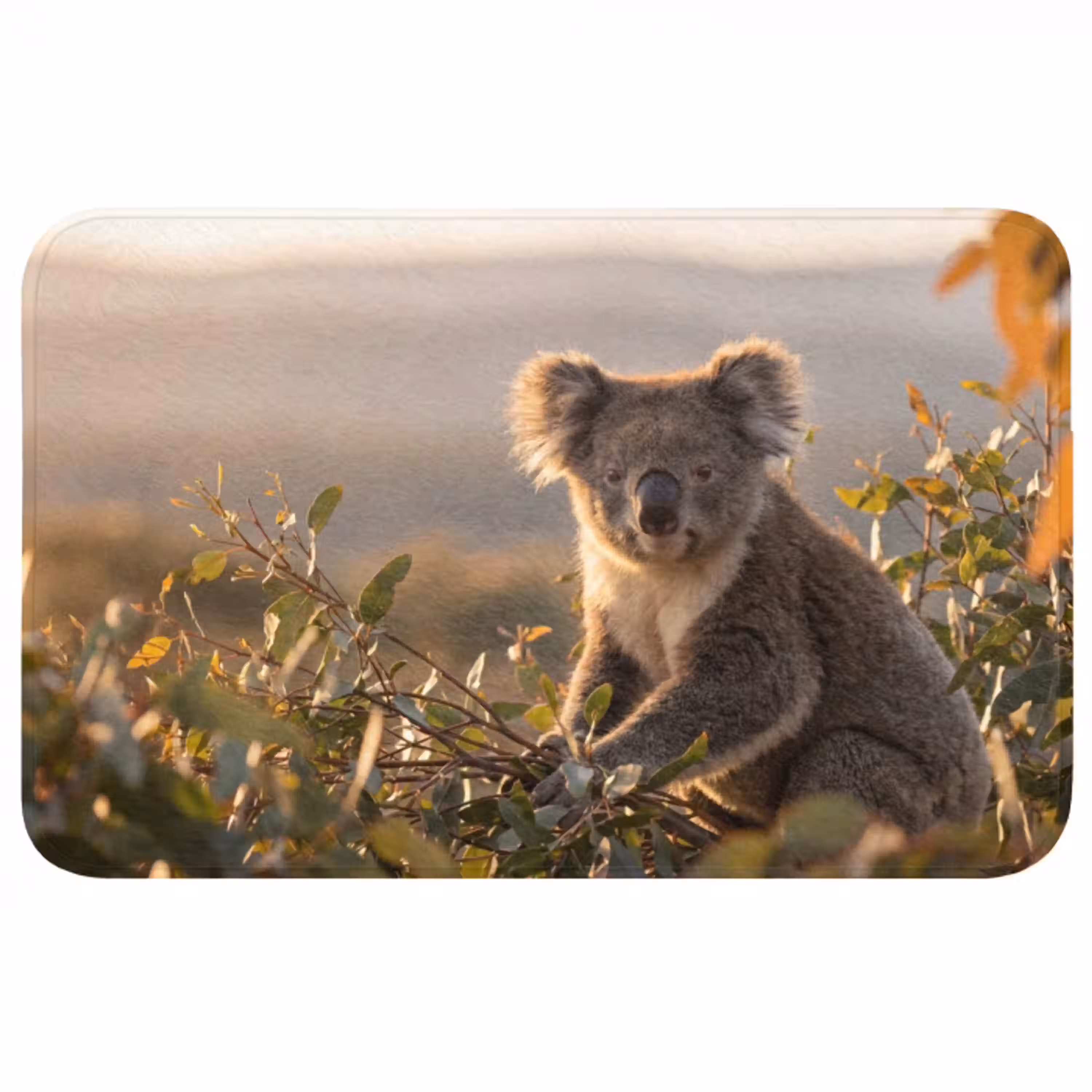 Koala - Bladeren - Ochtendlicht Badmat middel -3d