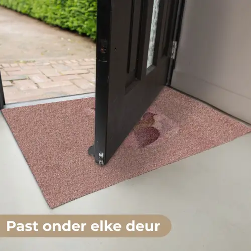 Illustratie - Vogels - Abstract - Roze Deurmat klein -USP_NL