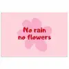 No rain no flowers - Bloem - Roze poster papier klein -3d