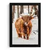 Schotse Hooglander - Sneeuw - Winter - Natuur - Dieren fotolijst zwart zonder passe partout klein -3d