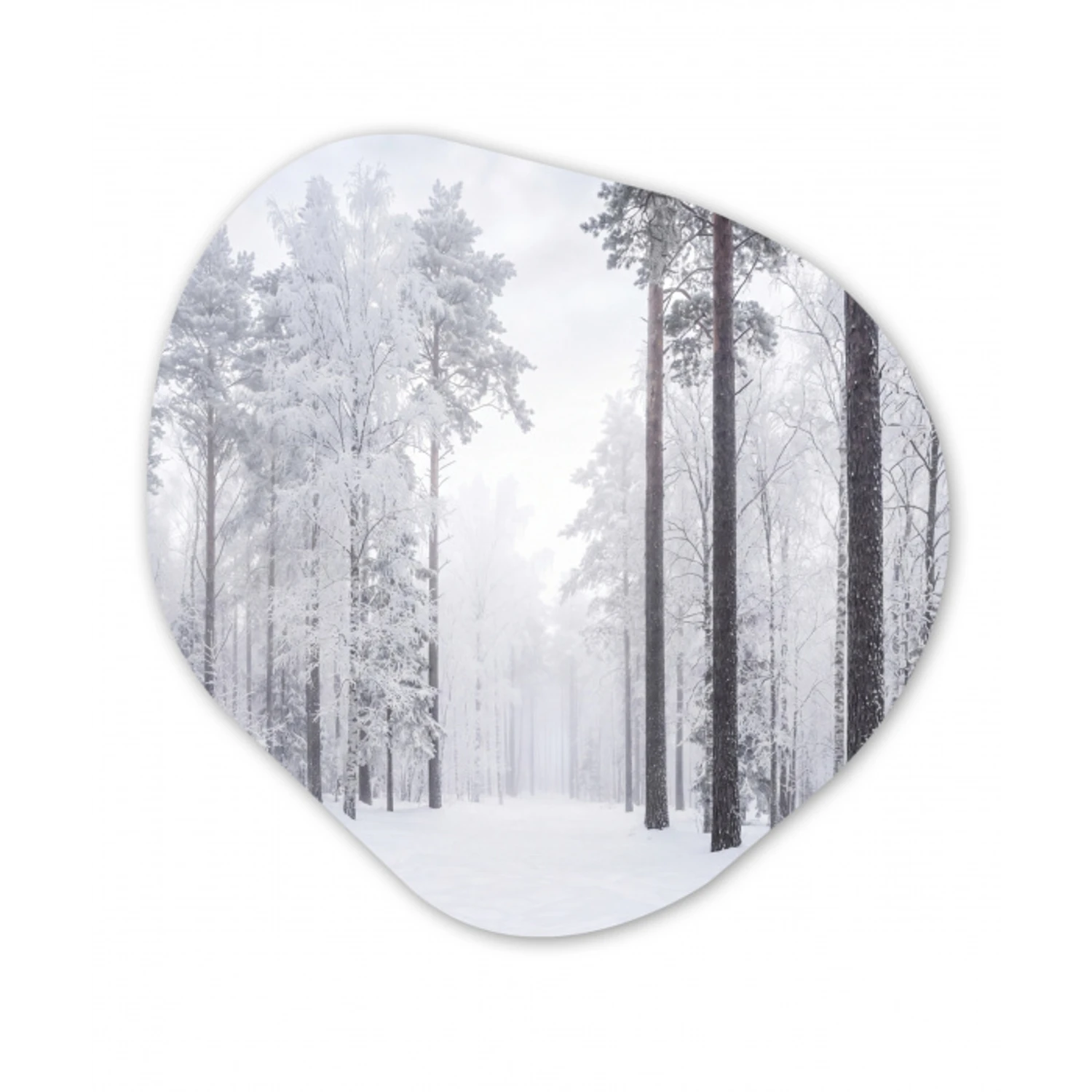 Bos - Sneeuw - Pad - Winter - Stilte Wandcirkel Organisch Forex 3mm klein -3d