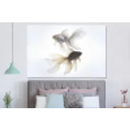 Goudvissen - Modern - Wit forex 5mm xxl -slaapkamer