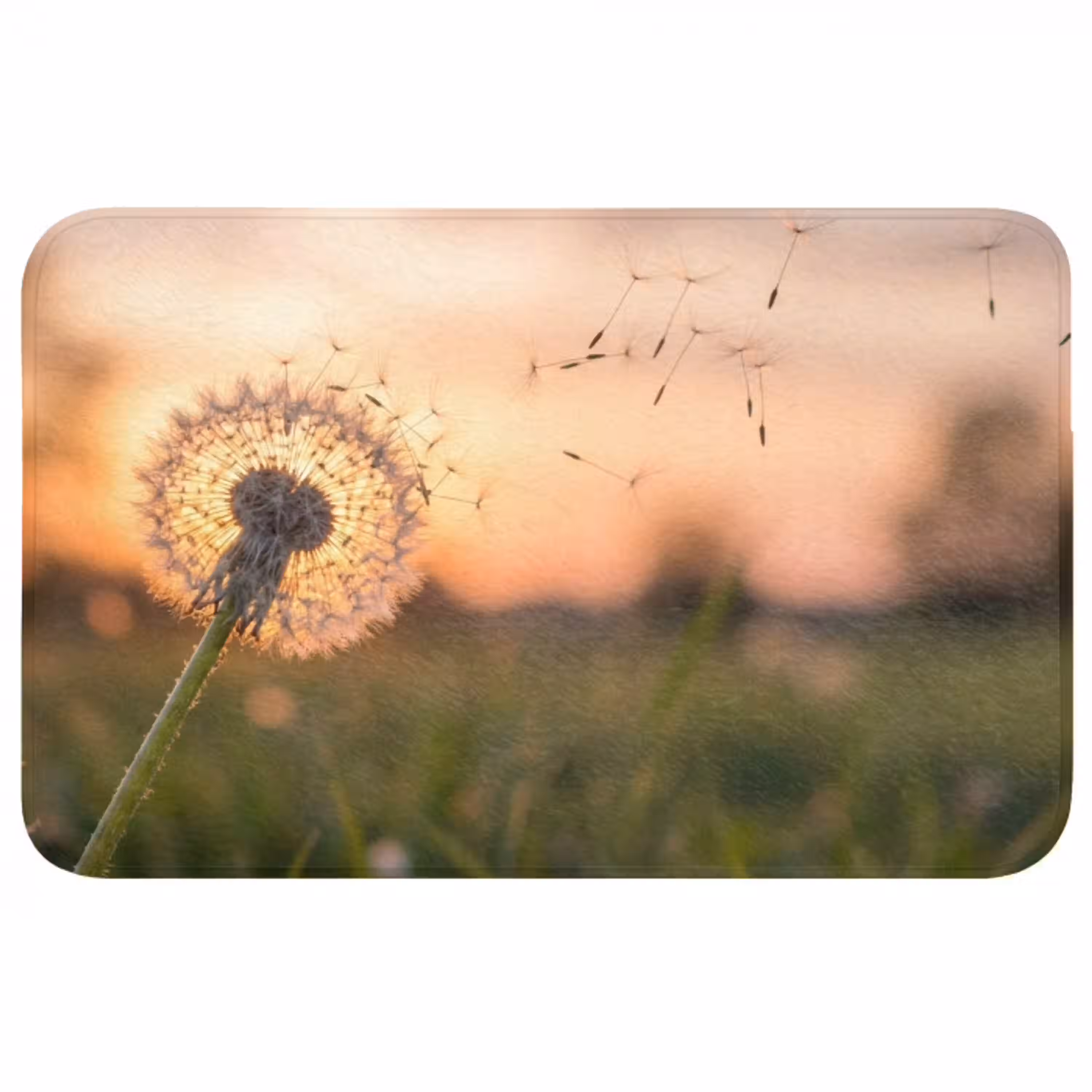 Paardenbloem - Zonsondergang - Veld WCmat middel -3d